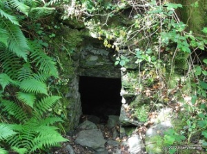 Cellar or Dungeon Entrance